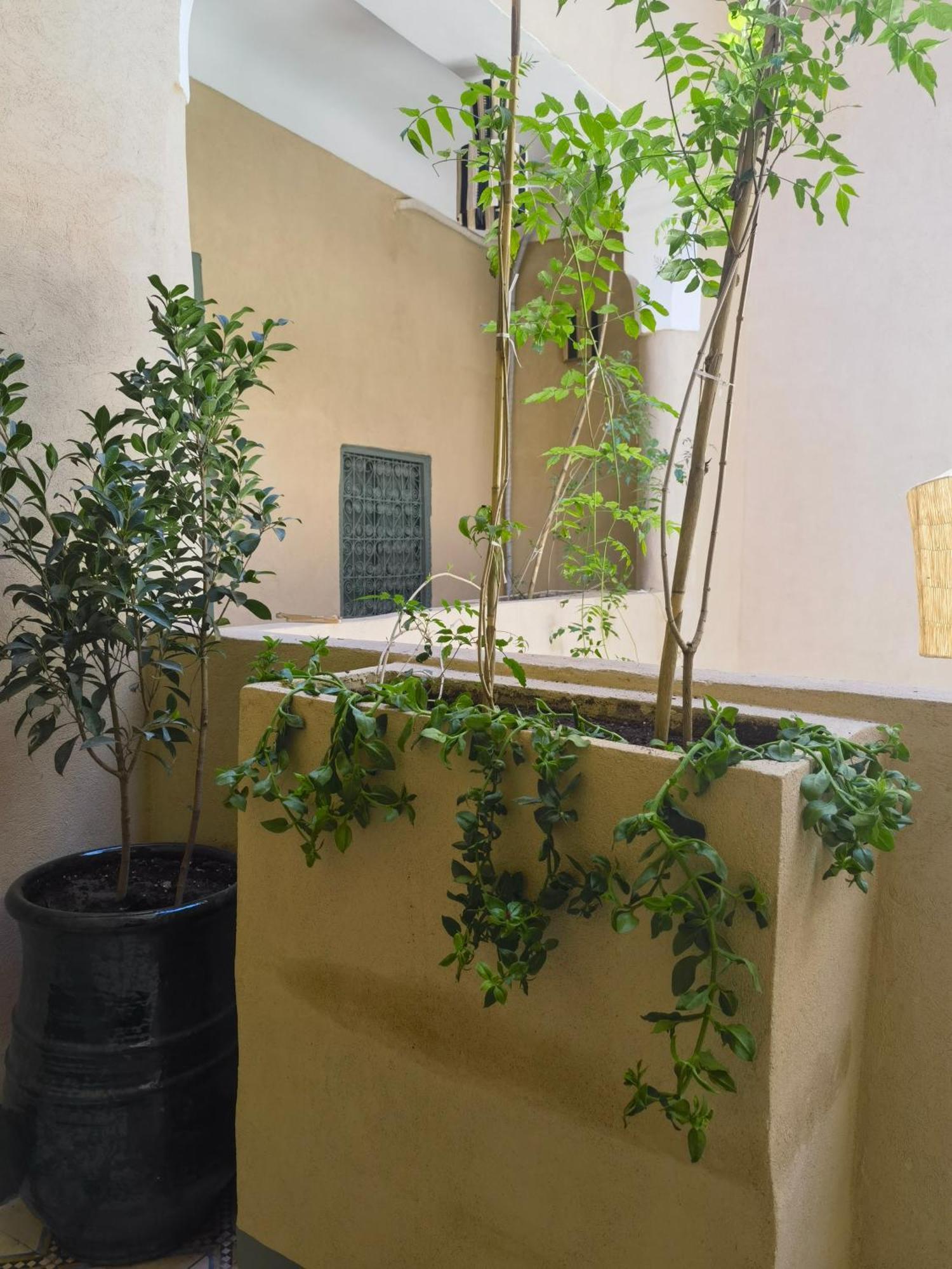 Medina Oasis Hostel Marrakesh Exterior foto